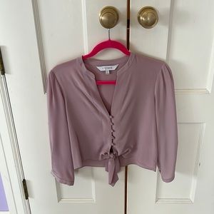 INTERMIX Blouse blush